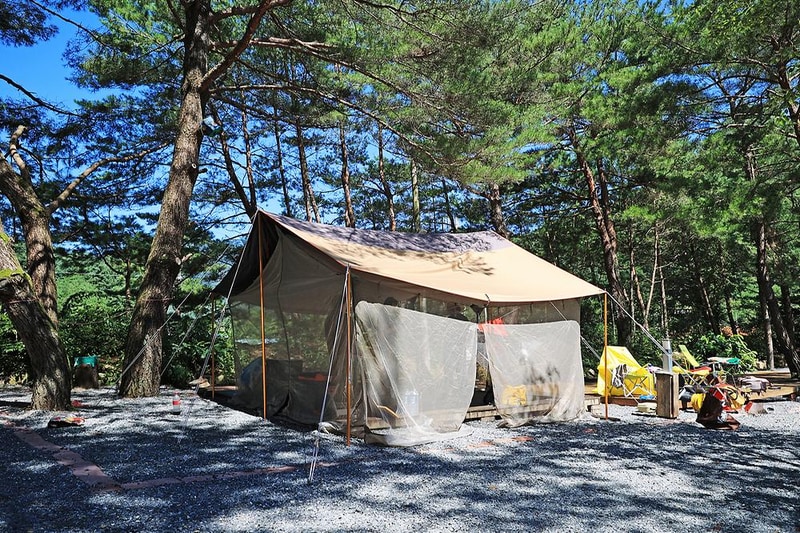 숲속의아침 시설 사진 7