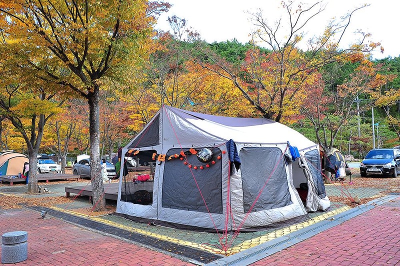 당항포관광지 오토캠핑장 시설 사진 5