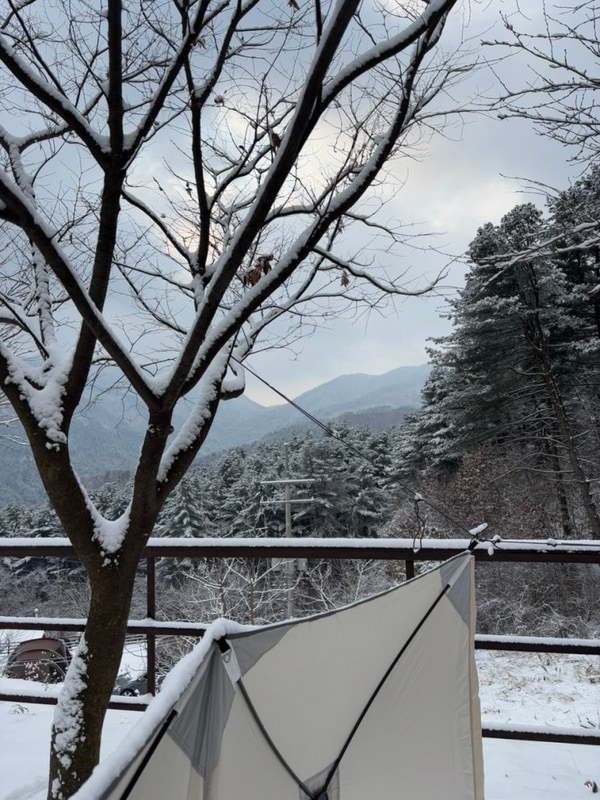 가평캠핑장 N번째 재방문 하는 마운틴뷰 맛집: 블루문캠핑장...