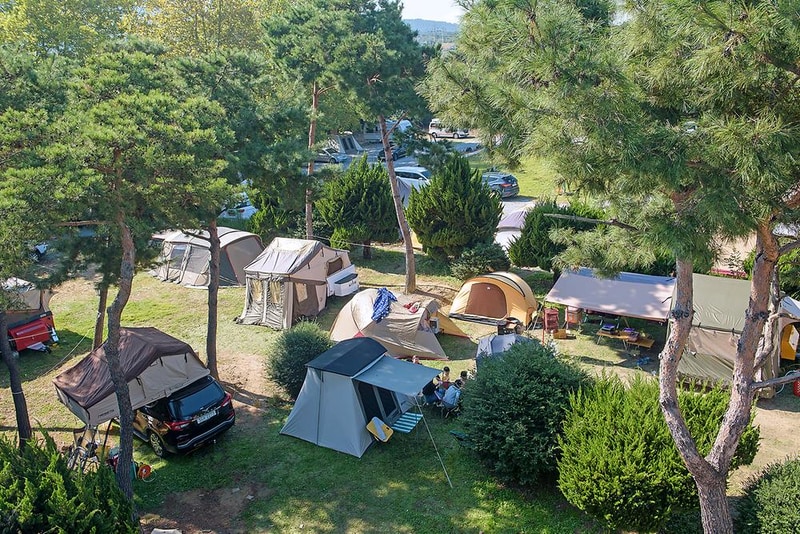 OK가족캠핑장 시설 사진 9