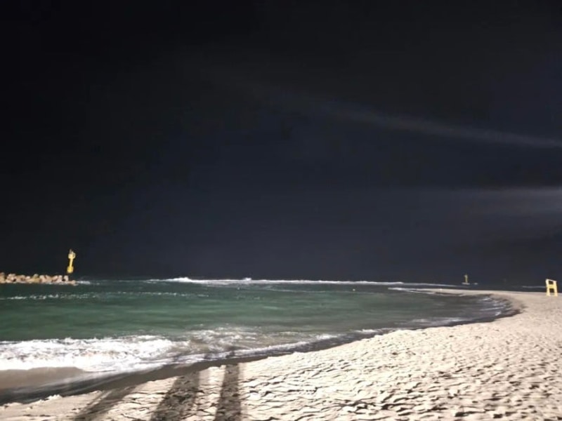 [울진글램핑]솔숲 아래... 조화, 구산 오토캠핑장 방문 후기...