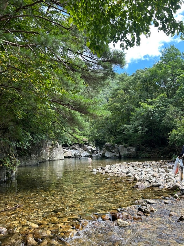 충북 단양 김삿갓 계곡 캠핑장, 캠프우아