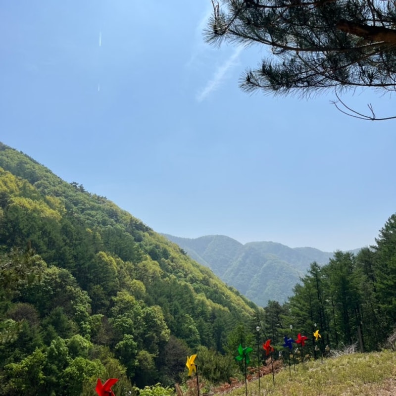 [영월 산들링크] 5월 연휴 첫 캠핑 / 데이지 03 후기