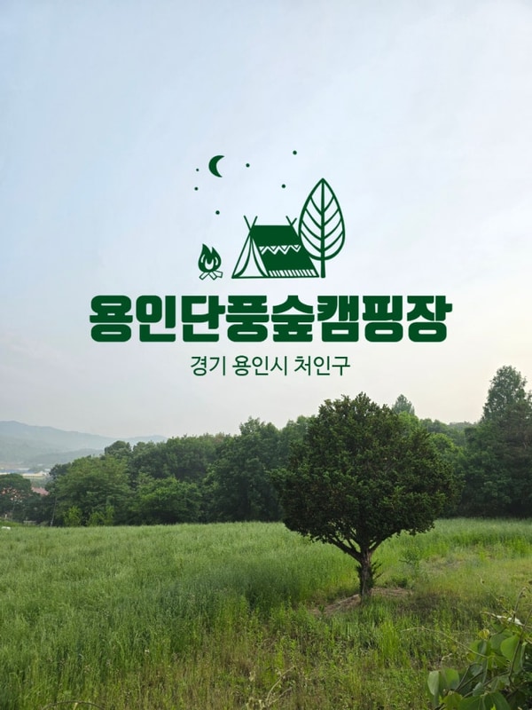 숲이 품은 캠핑장, 용인 단풍숲 캠핑장#사이트 안내