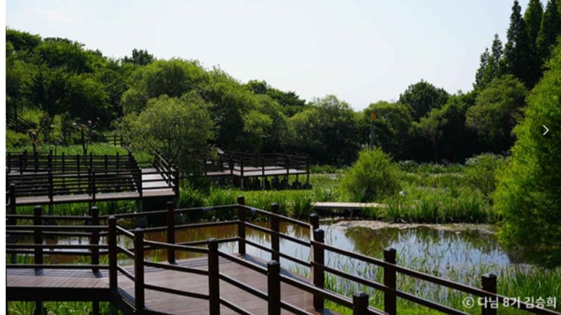 [공공기관 전문 여행사]아산 영인산자연휴양림 숲속야영장