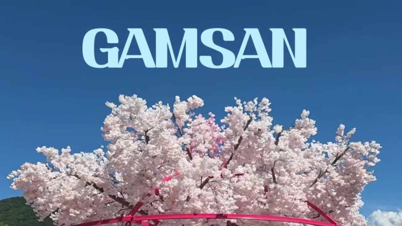 2025년 8월, 여름 캠핑, 경주 감산