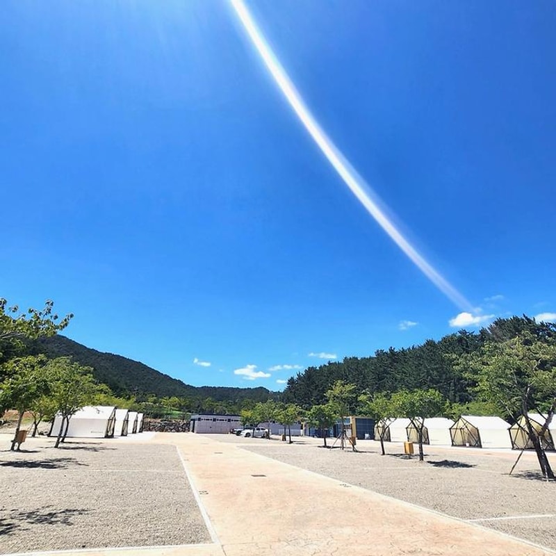 주식회사 웰니스 대표 사진