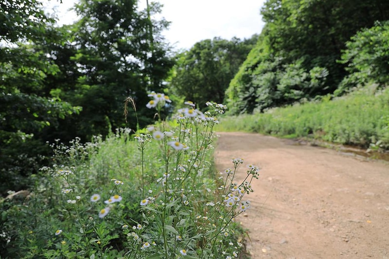 호명산잣나무숲속캠핑장 시설 사진 6