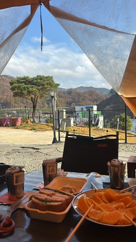 [숙소] 문경 더모스트 글램핑