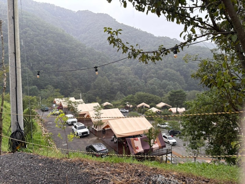 강원도 홍천 오도치 캠핑장ㅣ타프존 캠핑장