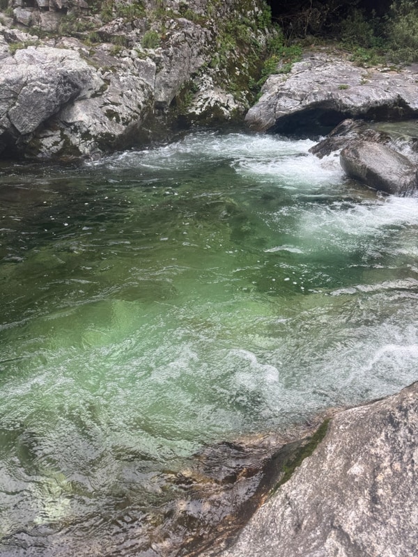 [가평] 깊은 계곡으로 유명한 자우림 캠핑장 (A-13 사이트 후기)