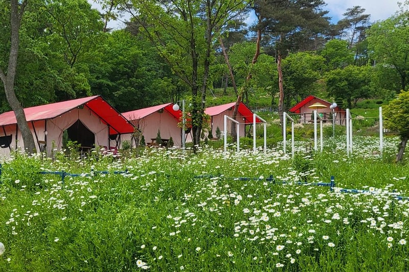 화순정원글램핑관광농원 시설 사진 4