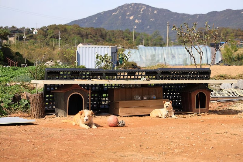 헬로 카라반 시설 사진 21