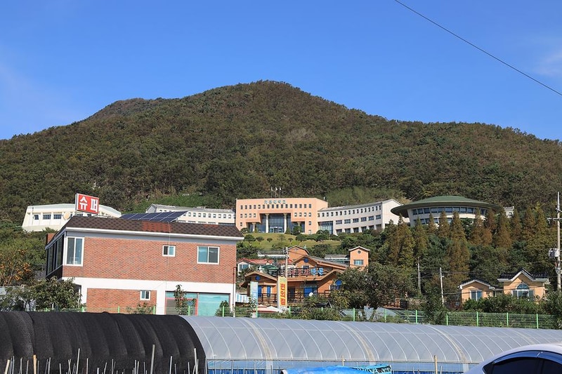 쥬라기 카라반 시설 사진 23