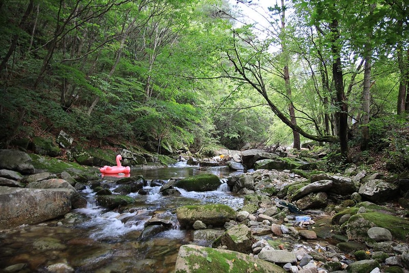 백년펜션 야영장 시설 사진 4