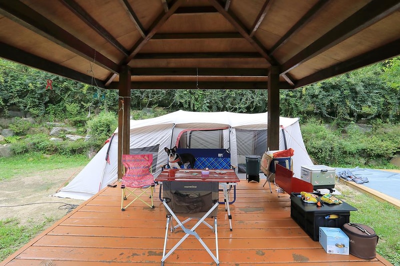 트리독스 애견전용캠핑장 시설 사진 18