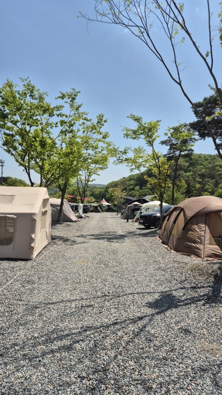 초보 캠린이 가족 캠핑 / 천안 신상 오토캠핌장 위례성캠핑장