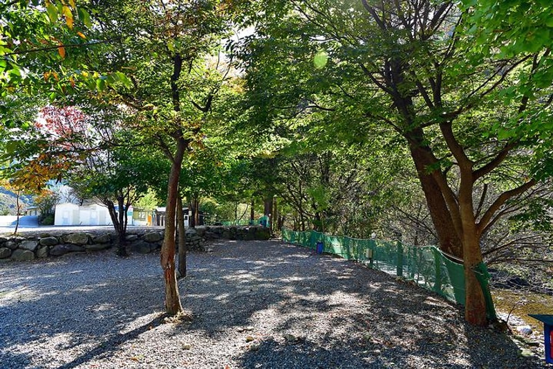 백자동 캠핑장 대표 사진
