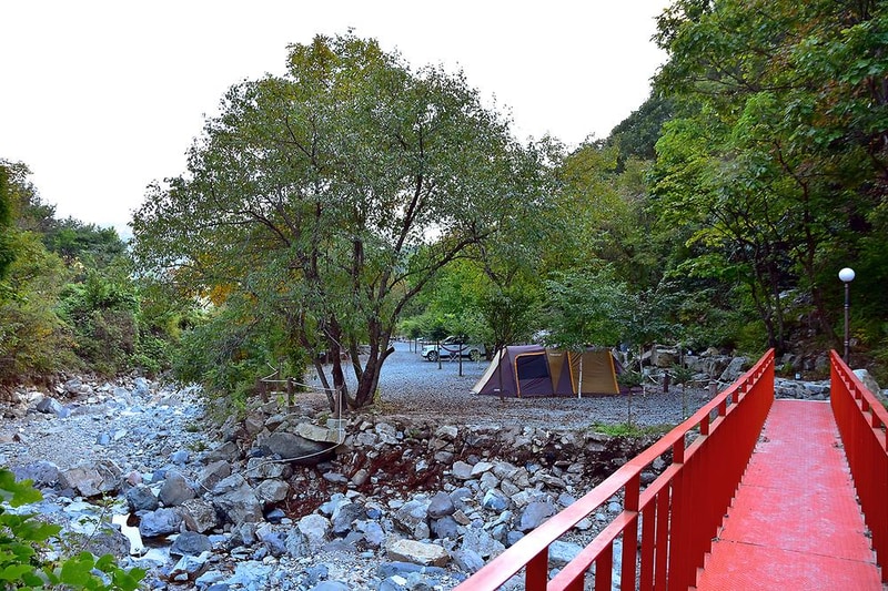 담터오지캠핑장 시설 사진 7