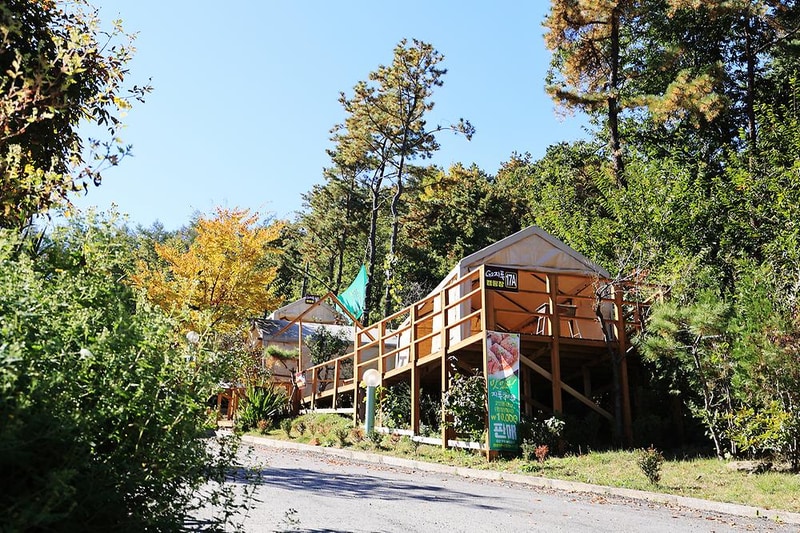 지투(G2) 캠핑장 시설 사진 14