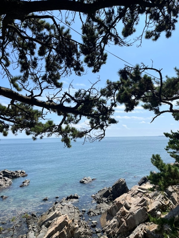 울산 동구 대왕암오토캠핑장 후기 사이트 추천