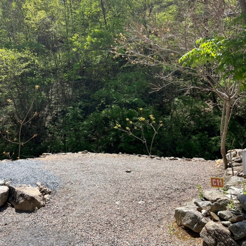 [횡성] 포시즌파크 캠핑장 (C11 사이트) 1박 후기