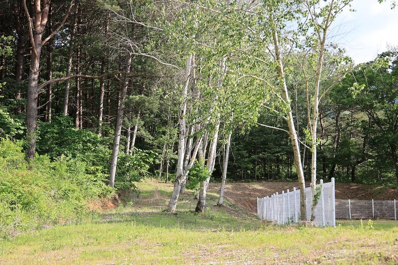 초록빛마을 관광농원 야영장 시설 사진 2