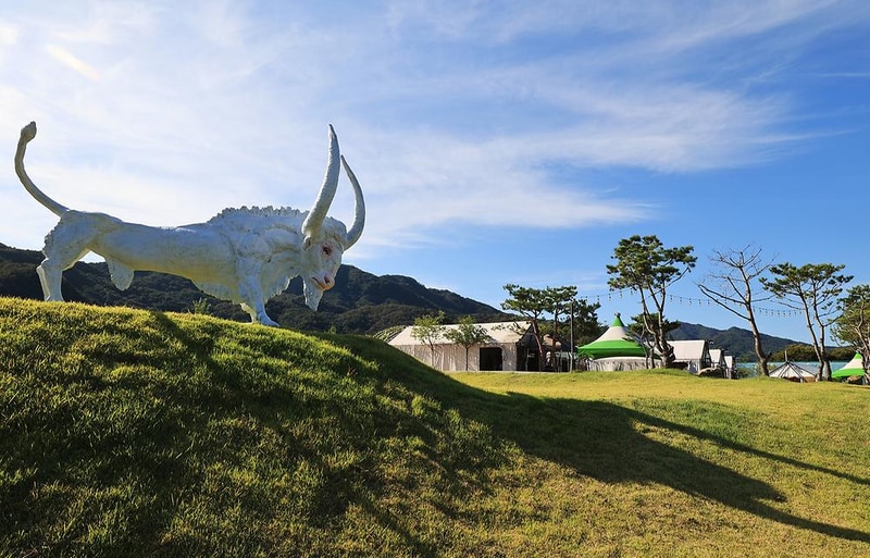 리버위드 글램핑 시설 사진 4