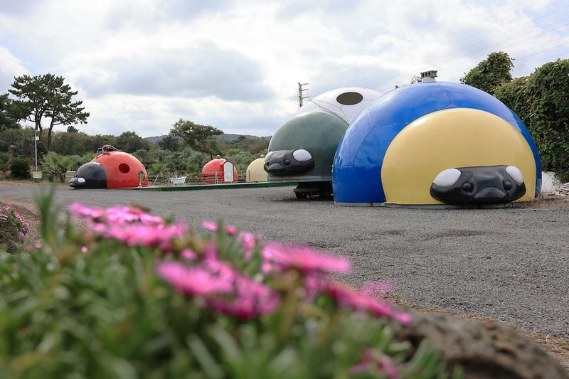 선흘리캠핑장 시설 사진 6