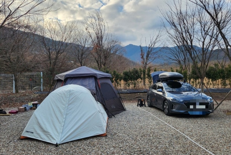 경북 고령 우니메이카 조용한 독서실 컨셉의 캠핑장 후기