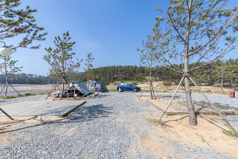 사목힐링캠프 태안캠핑농원 시설 사진 11