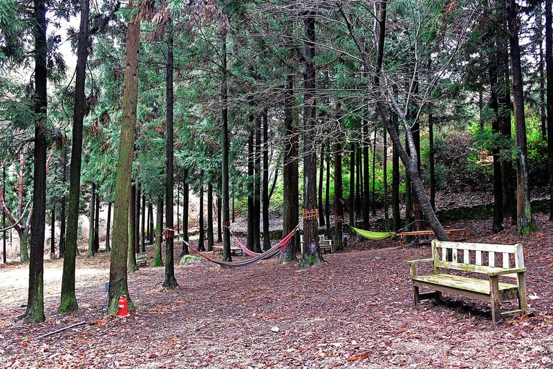 느랭이골 자연휴양림 일반야영장 시설 사진 10