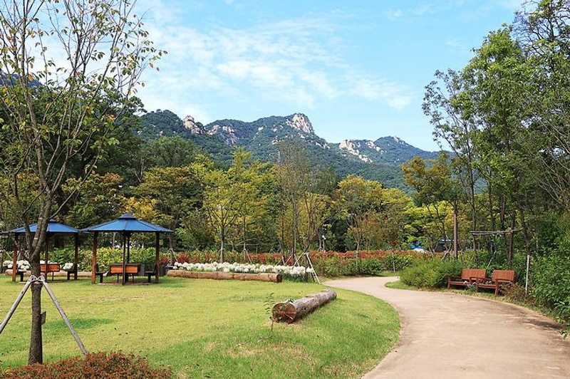 우이동 가족캠핑장 대표 사진