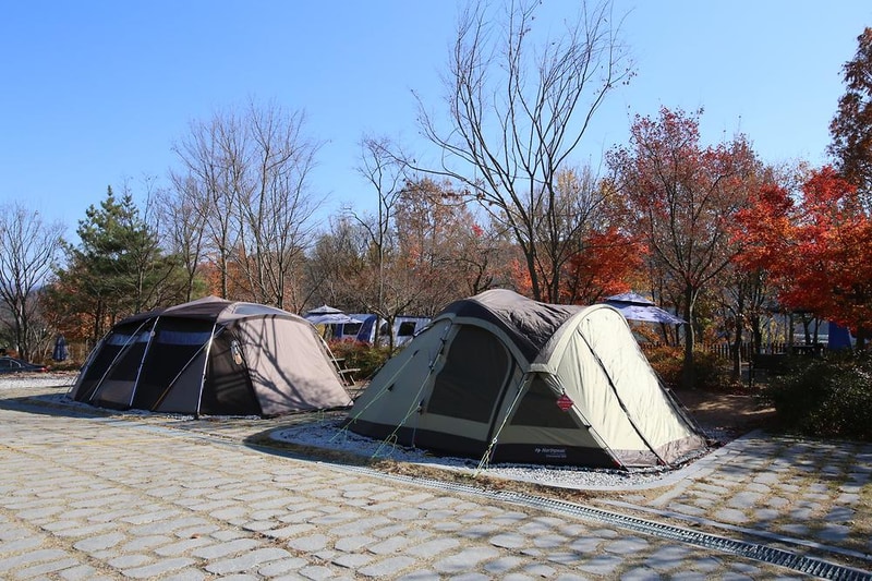 도림사오토캠핑리조트 시설 사진 26