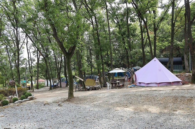 뮤즈캠핑장 시설 사진 10