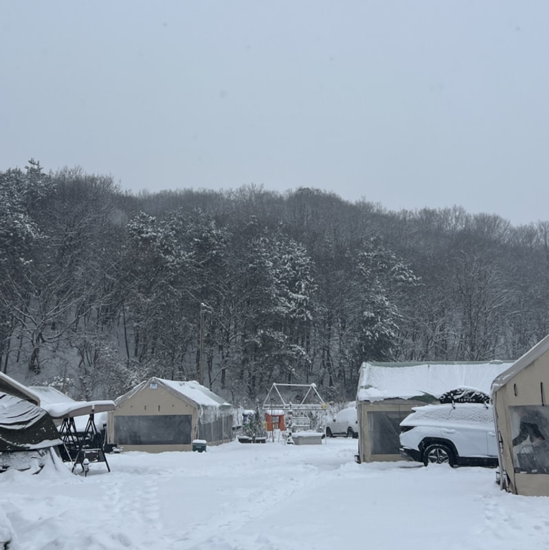 폭설 내리던 날 파주 자장캠핑장 다녀왔어요 / 타프 캠핑장...