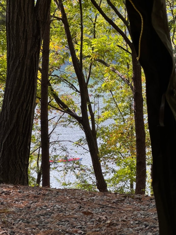 충주호 캠핑월드, 일반 오토 가을 캠핑 충주호뷰 명당자리
