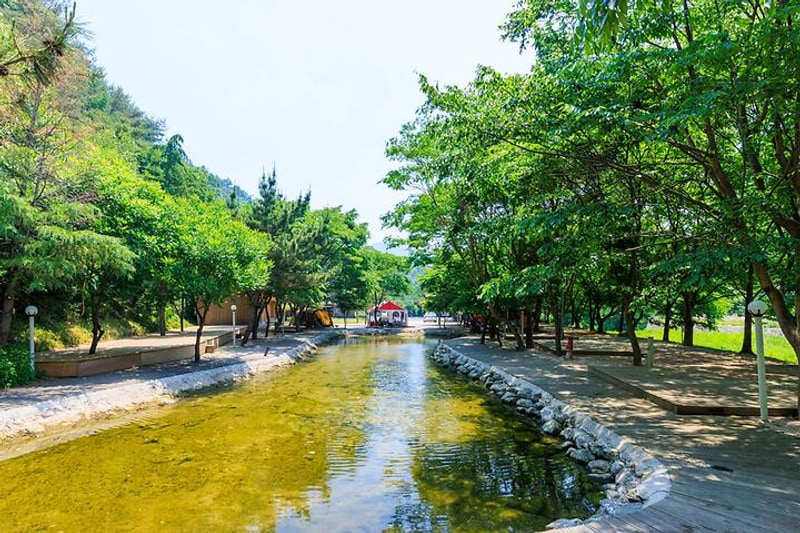 산내 명수관광농원 대표 사진