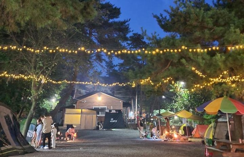 모래재캠핑장 대표 사진