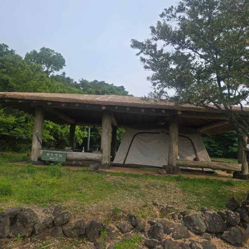 제주 교래자연휴양림 야영장 입성~ㅎ