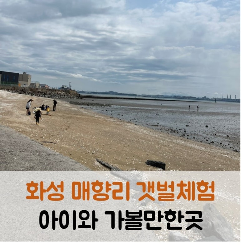 화성 매향리 갯벌체험 아이와 가볼만한곳 캠핑장까지