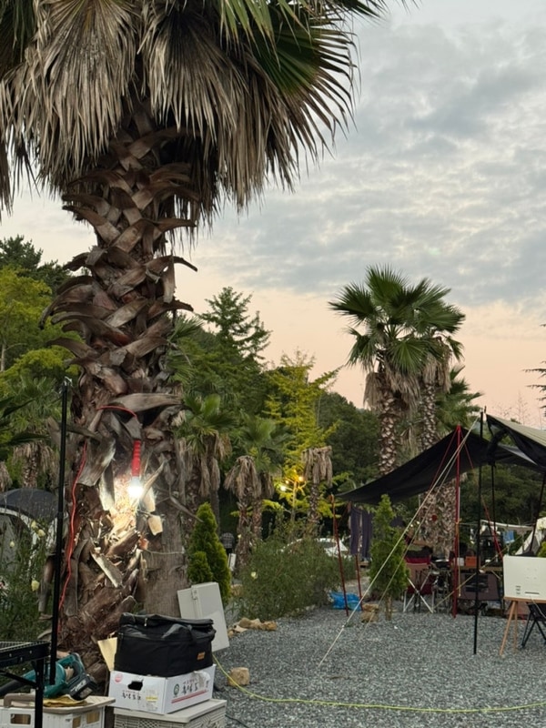 남해 버드하우스캠핑장 사촌해변점 :: 카나리아 1번, 2박 3일...