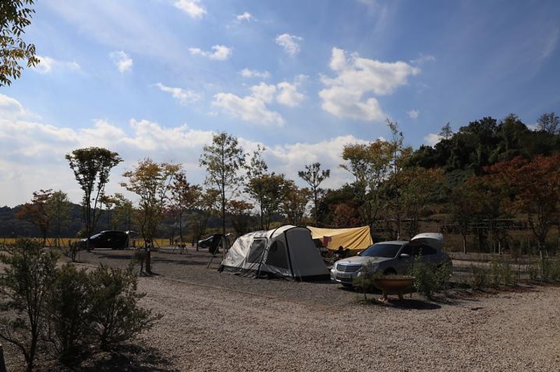 DMZ 마루캠핑 대표 사진
