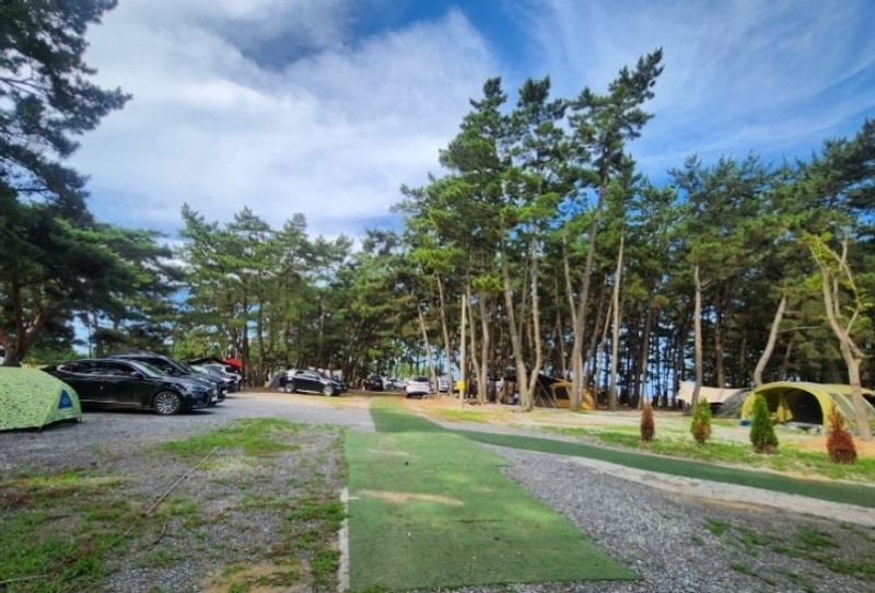 충남 태안 몽산포해수욕장... 근처 몽산포오션캠핑장, 카라반...