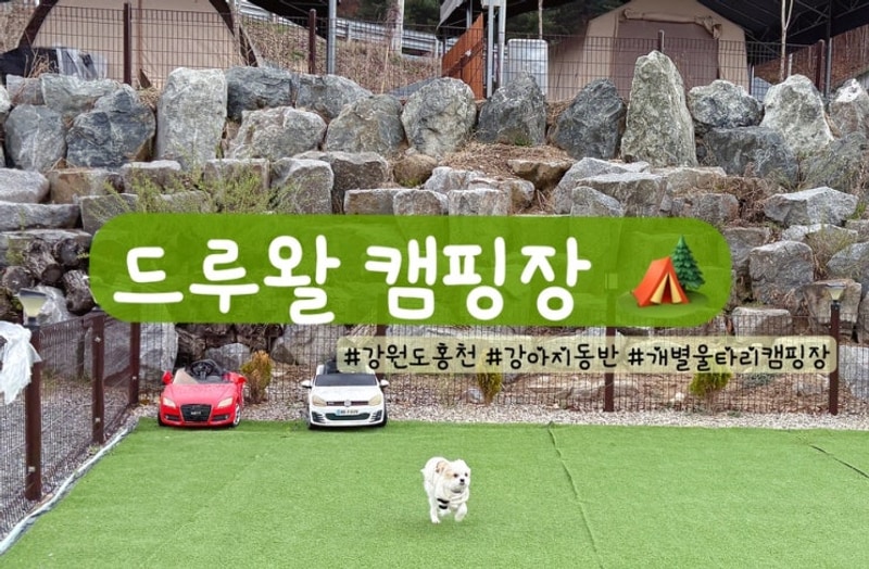 [드루왈 캠핑장]- 강원도 홍천 강아지동반 캠핑장 | 명당 B-4...