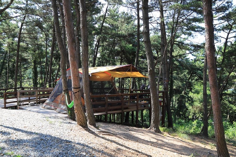 트리캠핑장 시설 사진 9