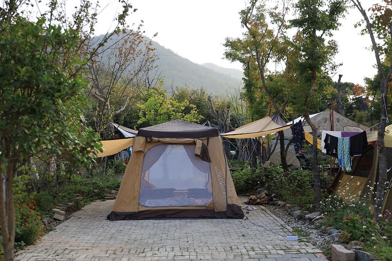 버드하우스 캠핑장 시설 사진 42