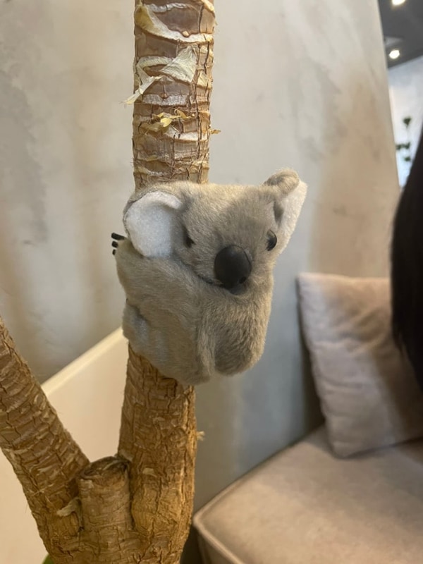 [대구] 우리 벌써 10주년이야~ / 군위 글램핑장 트리풀