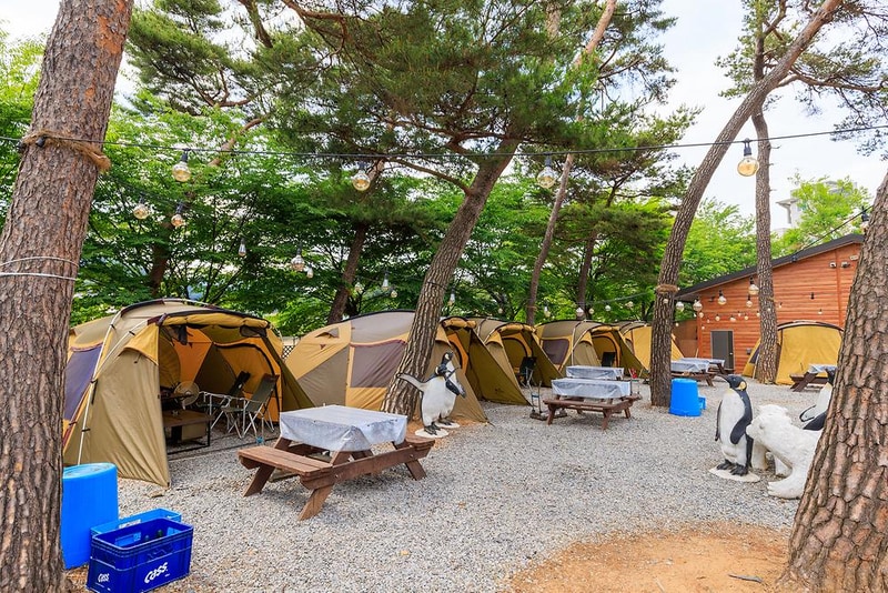 포시즌오토캠핑장 시설 사진 2