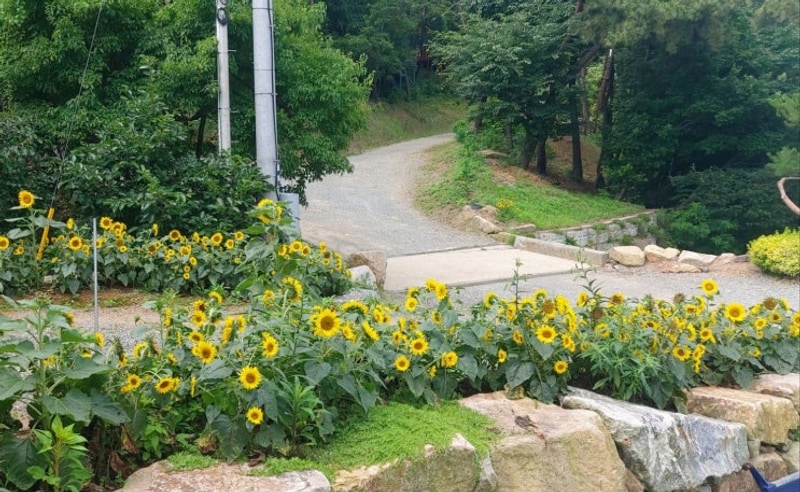 태안캠핑장 올레유 방문후기